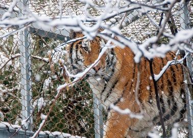 High Durability Animal Enclosure Mesh Lightweight With Woven Type / Ferrule Type